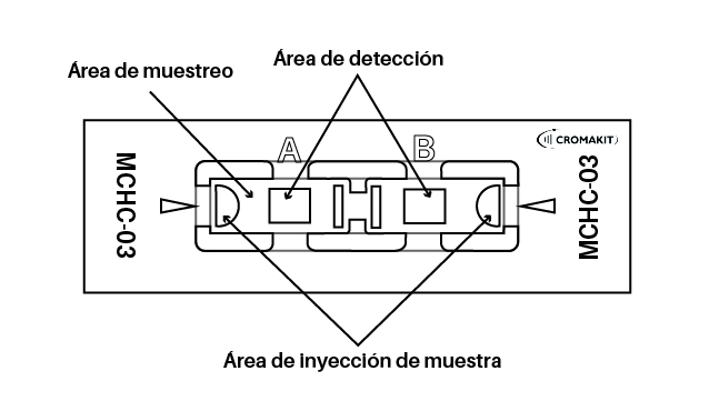 Placa